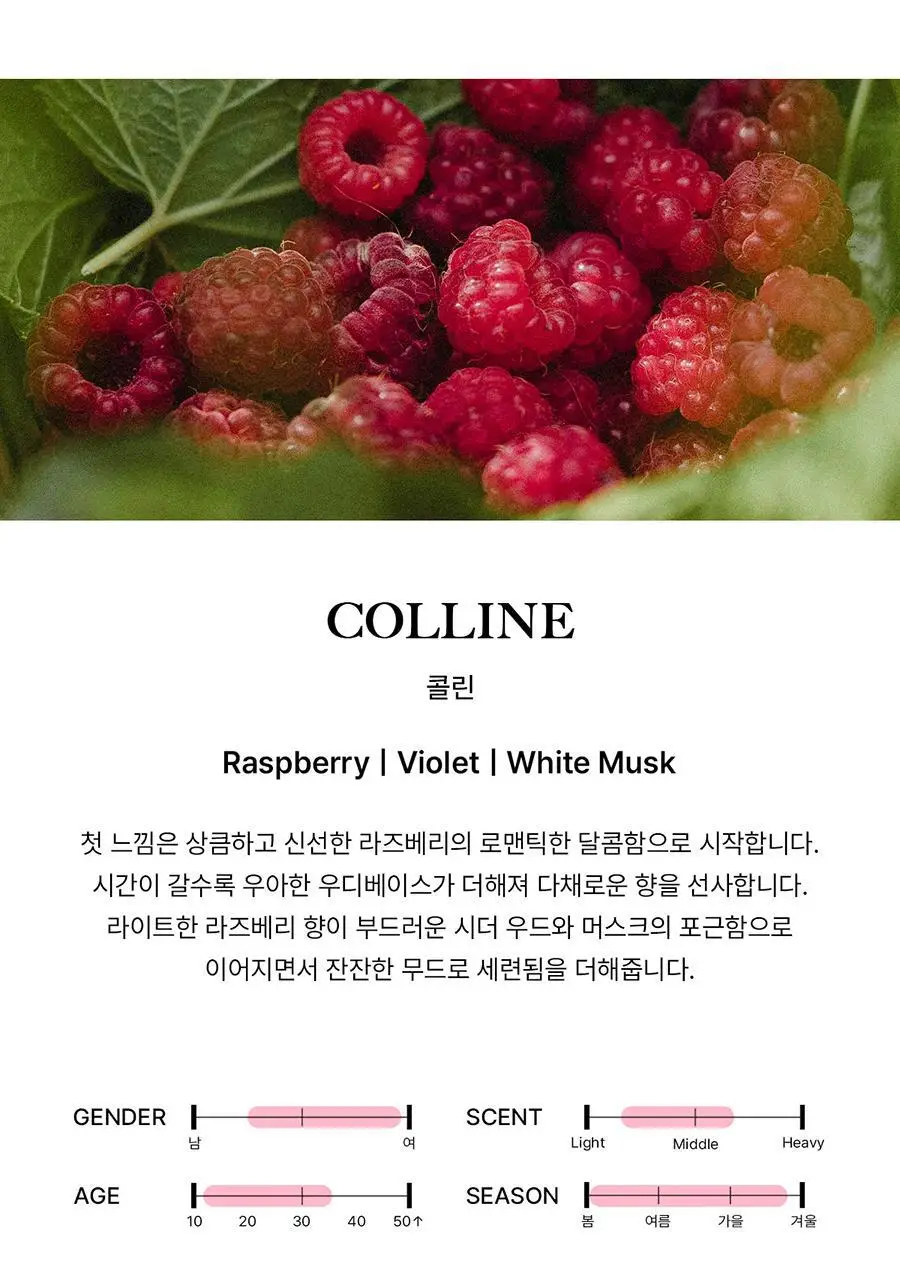 [보이넥스트도어 PICK] 비비앙 니치 퍼퓸 핸드크림 50ml (기획/단품) 상세페이지 17